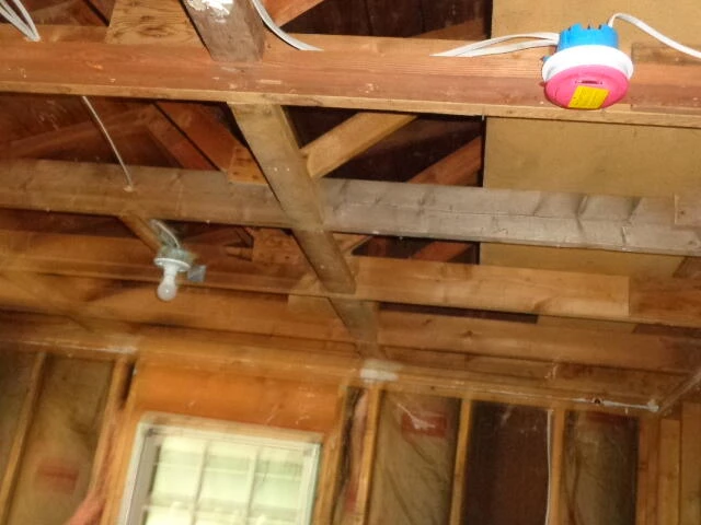 1194 Buttercup Ln - Photo 13