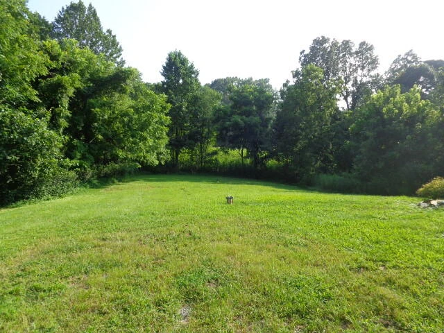 1194 Buttercup Ln - Photo 3
