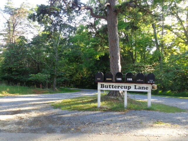 1194 Buttercup Ln - Photo 4