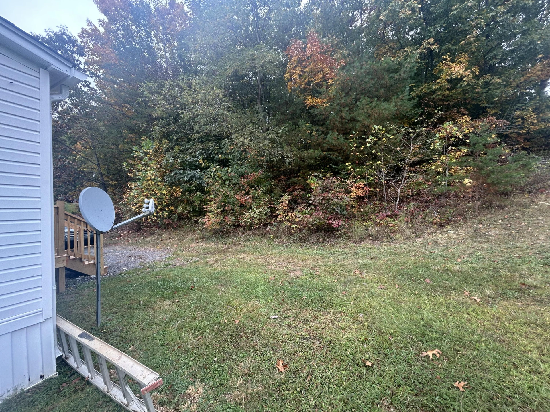 4453 Dunlap Creek Rd - Photo 15