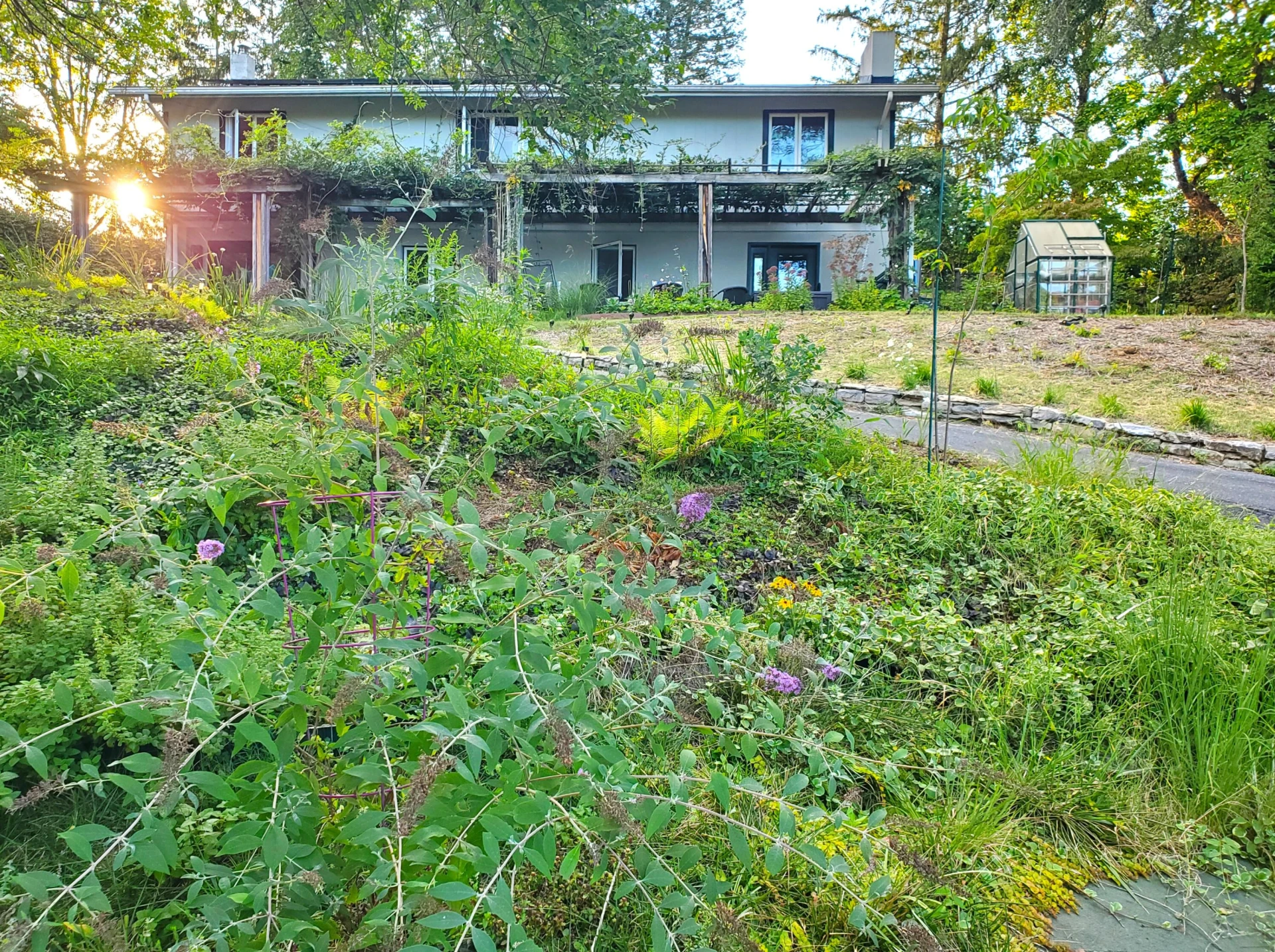 109 Rebel Ridge Rd - Photo 46