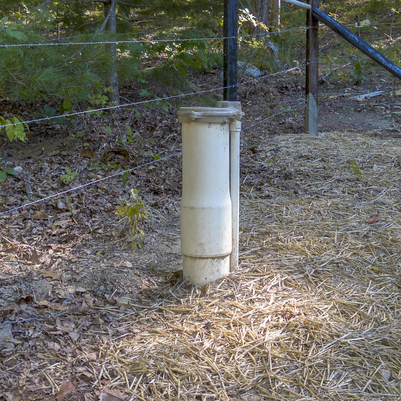 2193 White Rock Rd - Photo 31