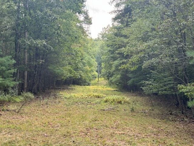 2594 River Rd - Photo 23