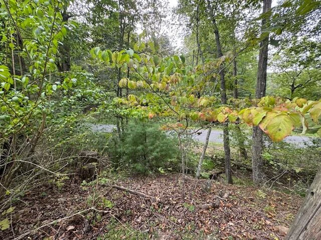 2594 River Rd - Photo 27