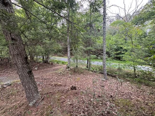 2594 River Rd - Photo 28