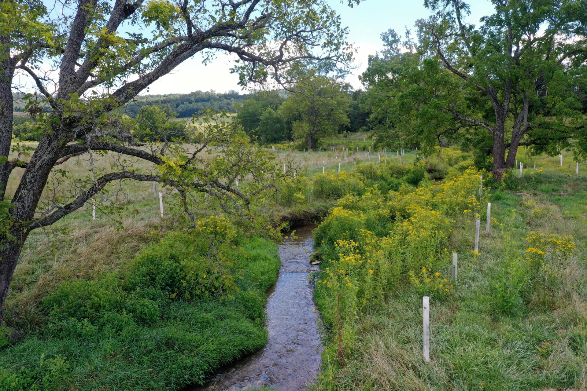 150 Ac. - Brownsburg Tpke - Photo 4