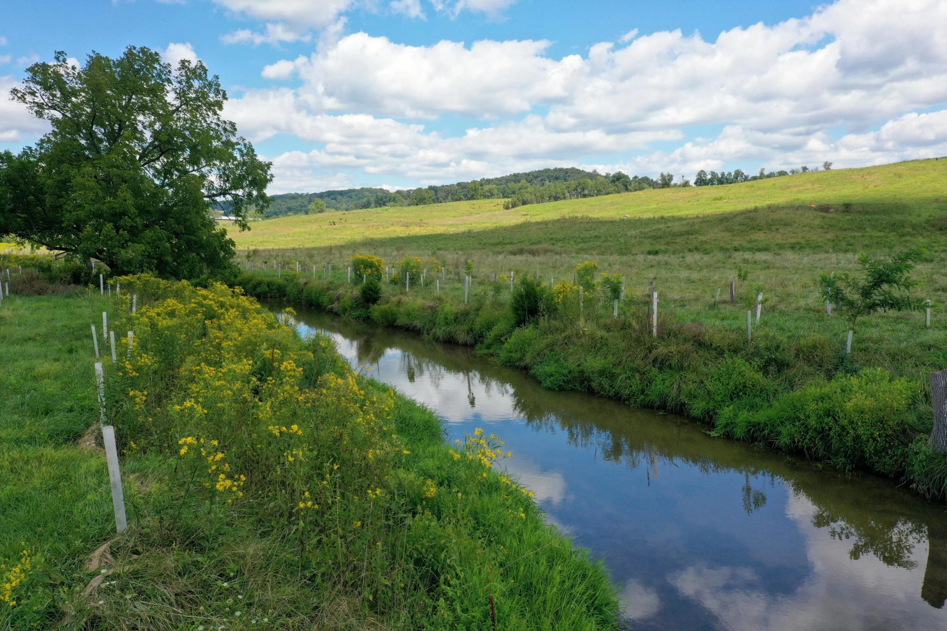 150 Ac. - Brownsburg Tpke - Photo 5