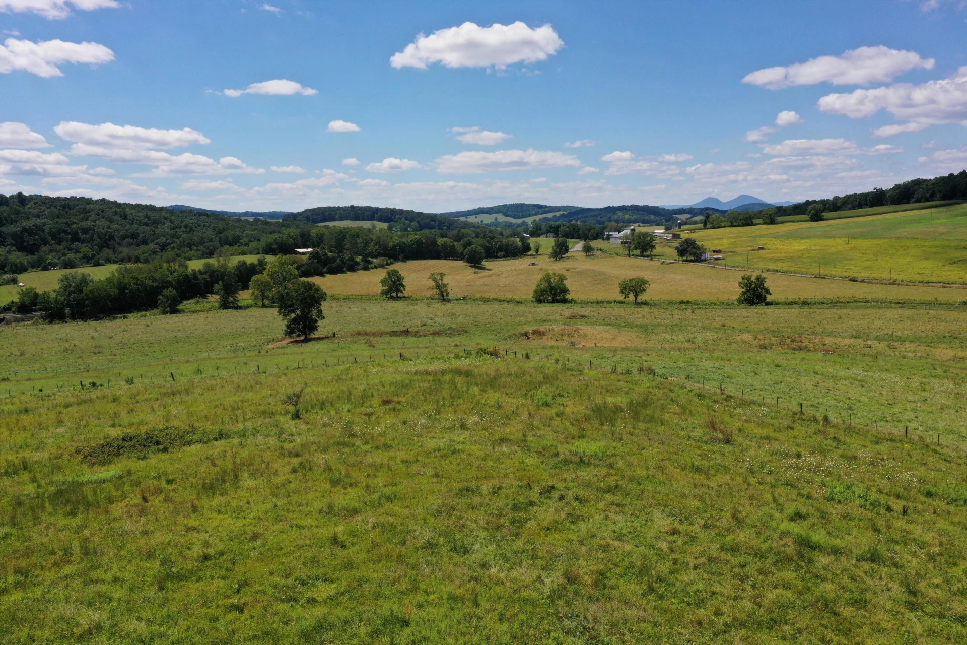 150 Ac. - Brownsburg Tpke - Photo 6