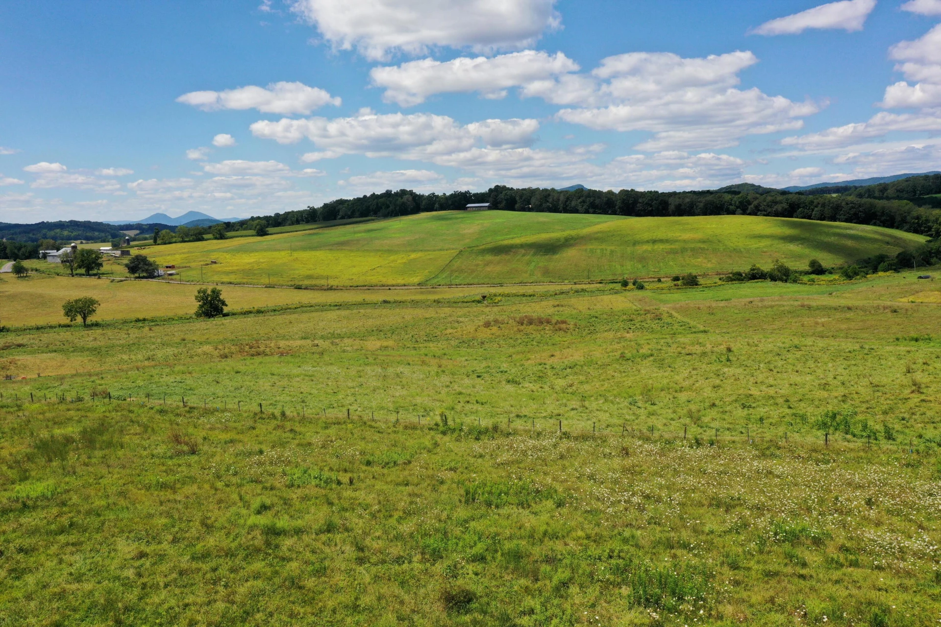 150 Ac. - Brownsburg Tpke - Photo 7