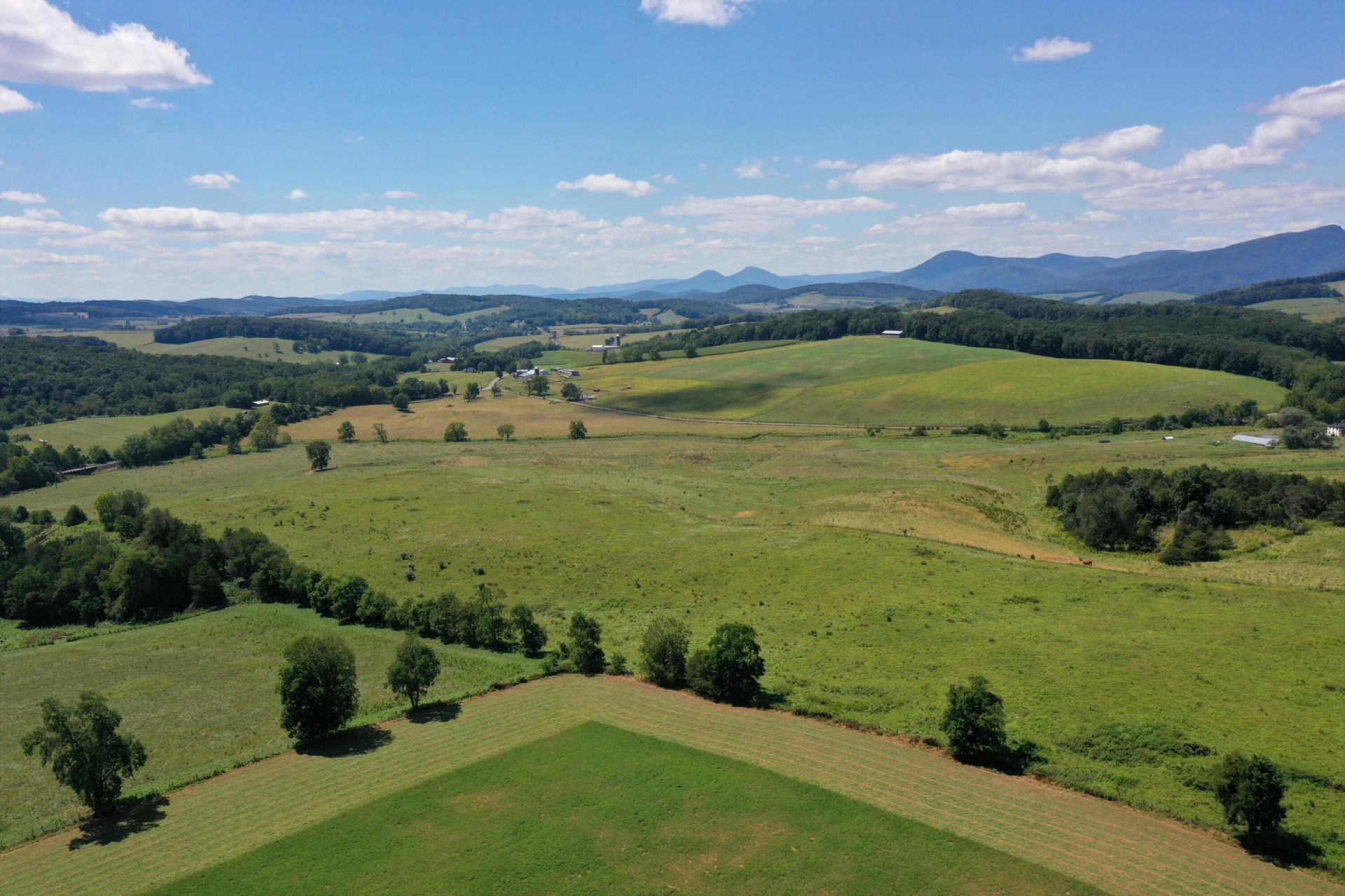 150 Ac. - Brownsburg Tpke - Photo 9