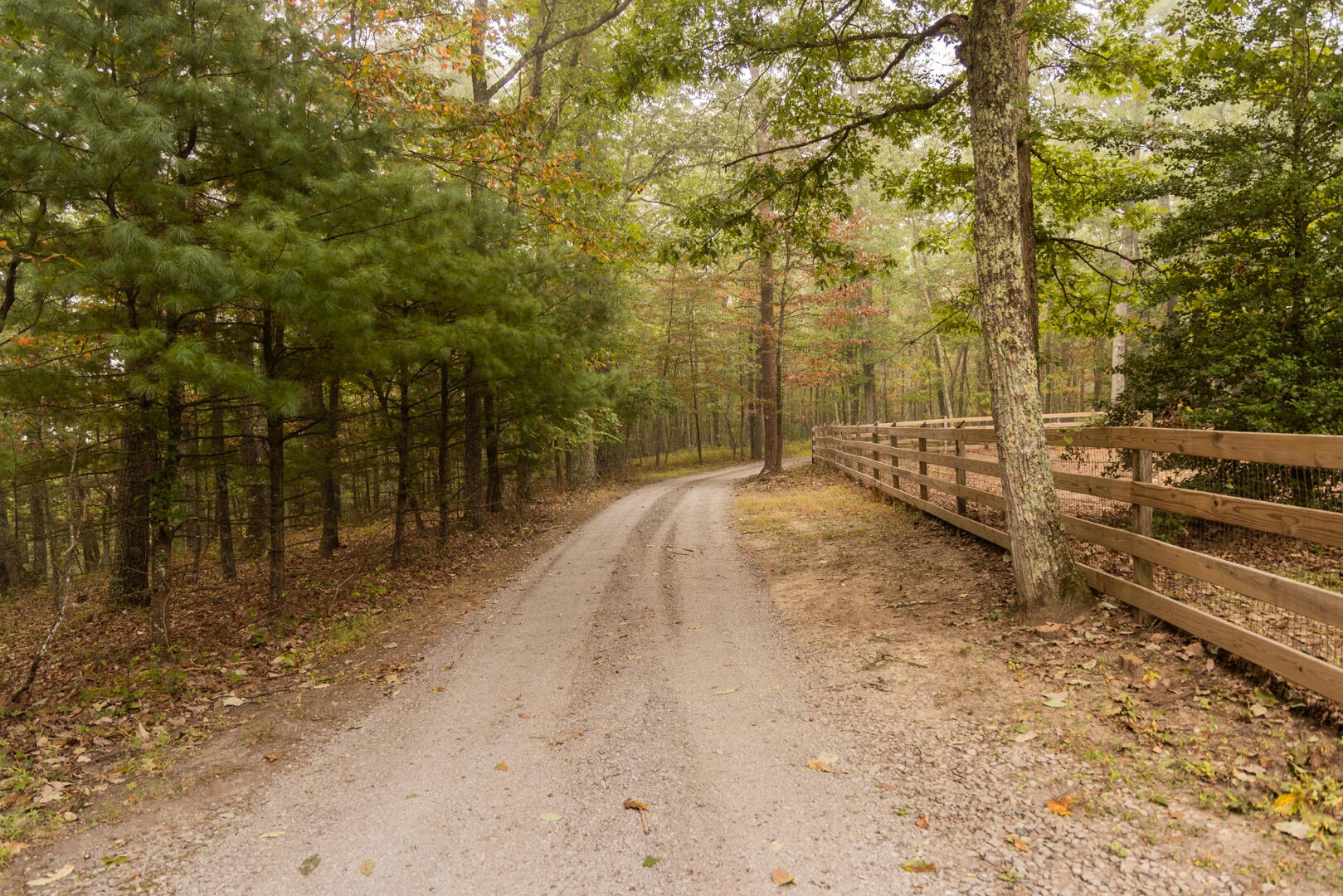 2401 Laurel Ridge Dr - Photo 11