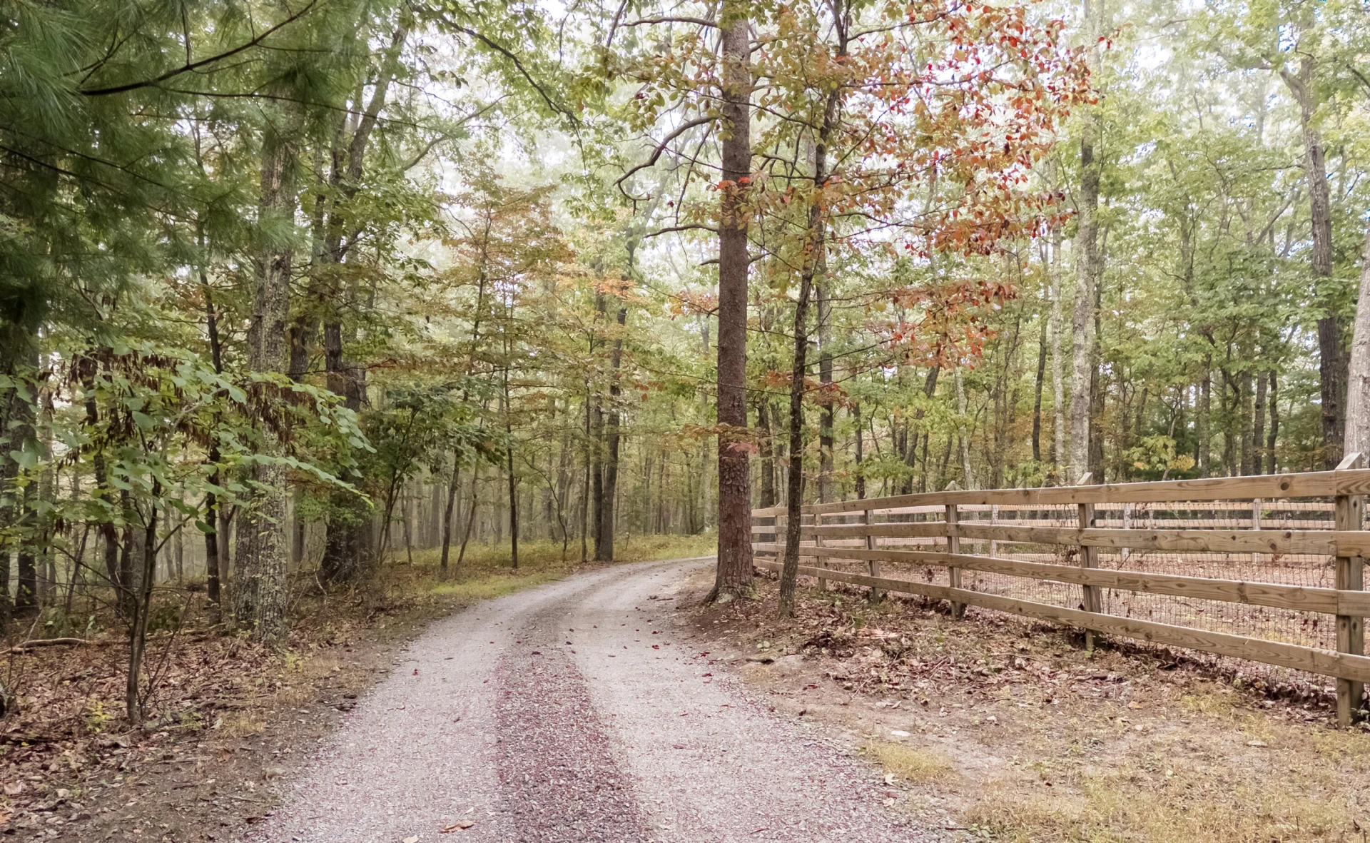 2401 Laurel Ridge Dr - Photo 8