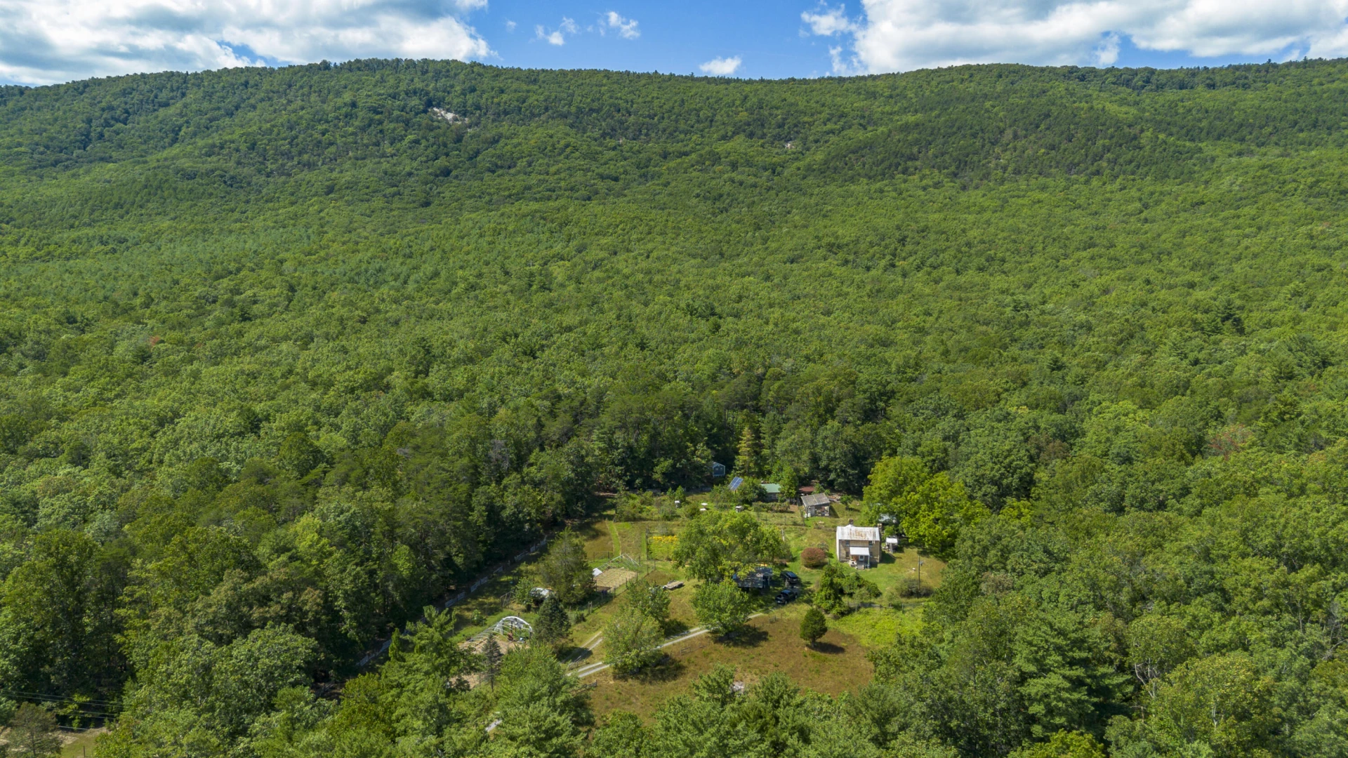 553 Big River Rd - Photo 10