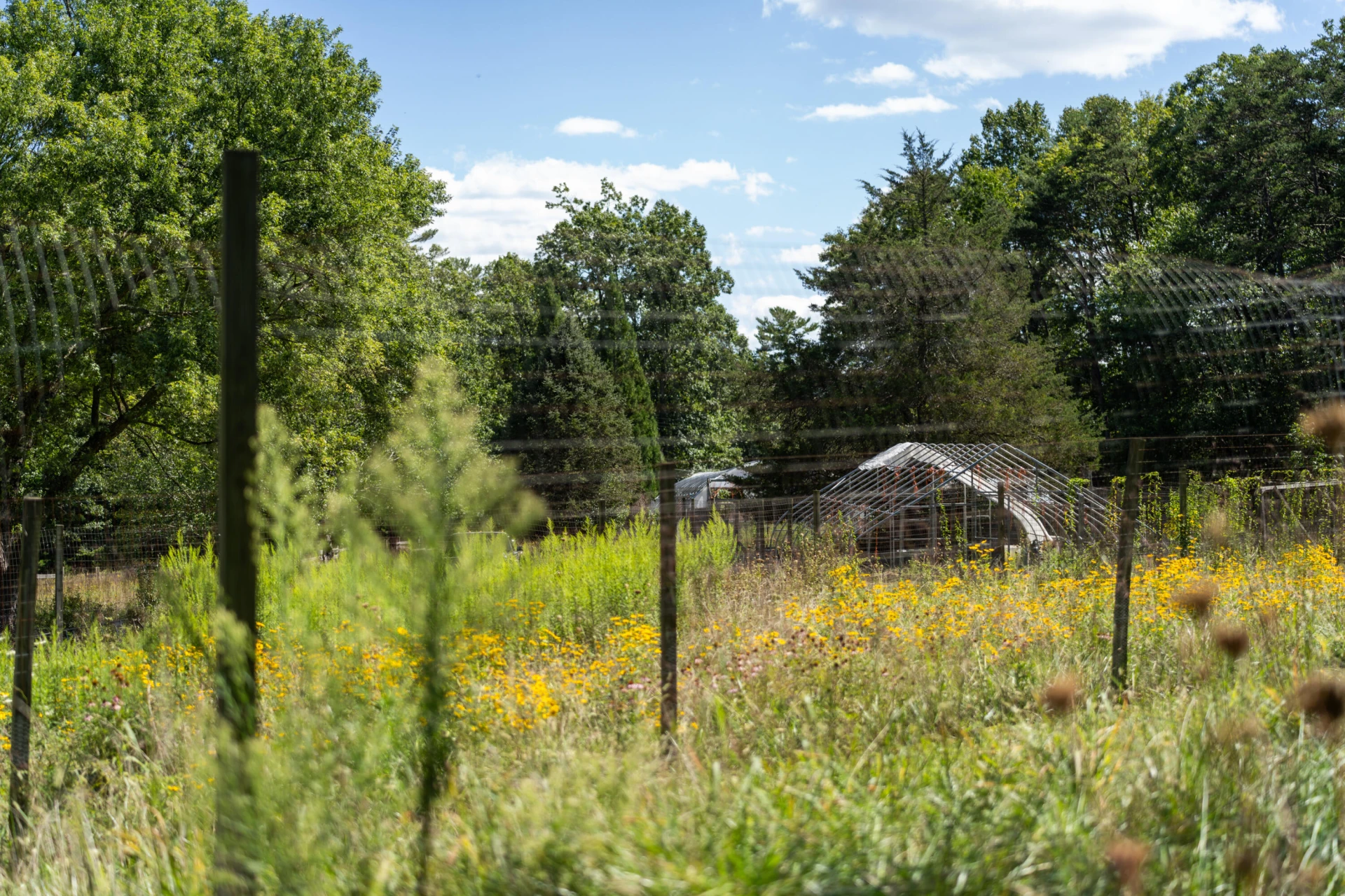 553 Big River Rd - Photo 38