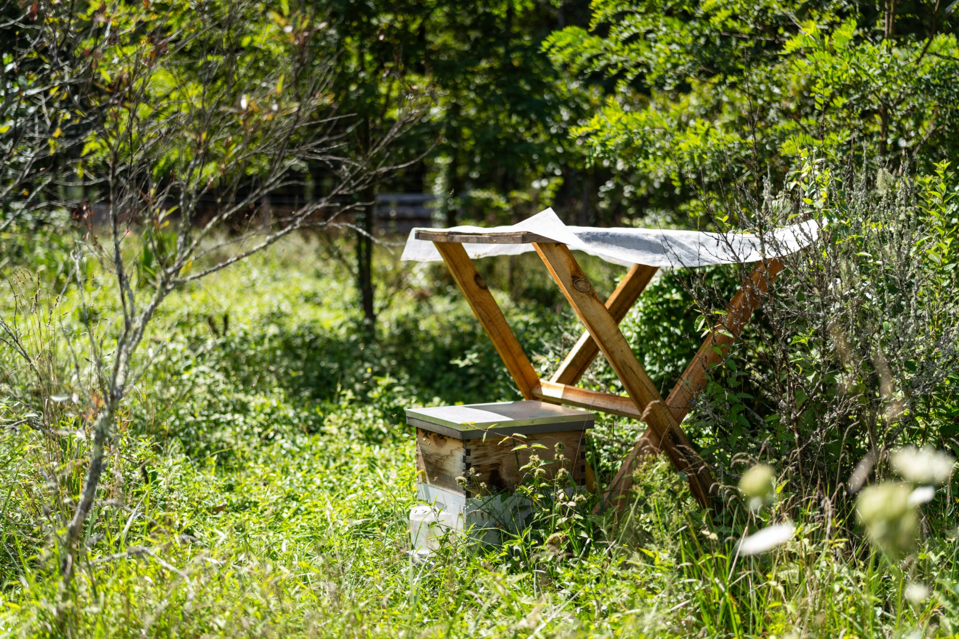 553 Big River Rd - Photo 40