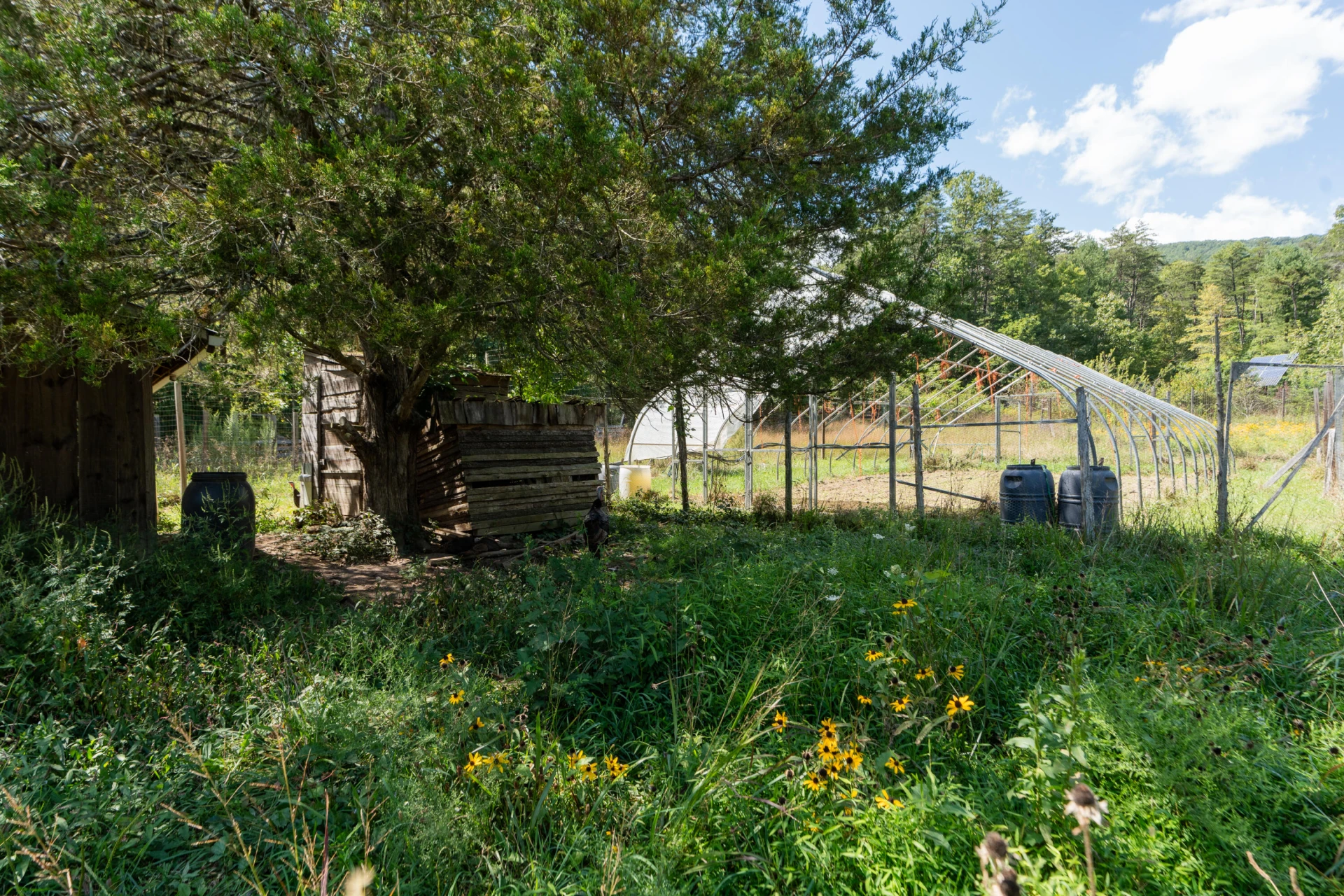 553 Big River Rd - Photo 43