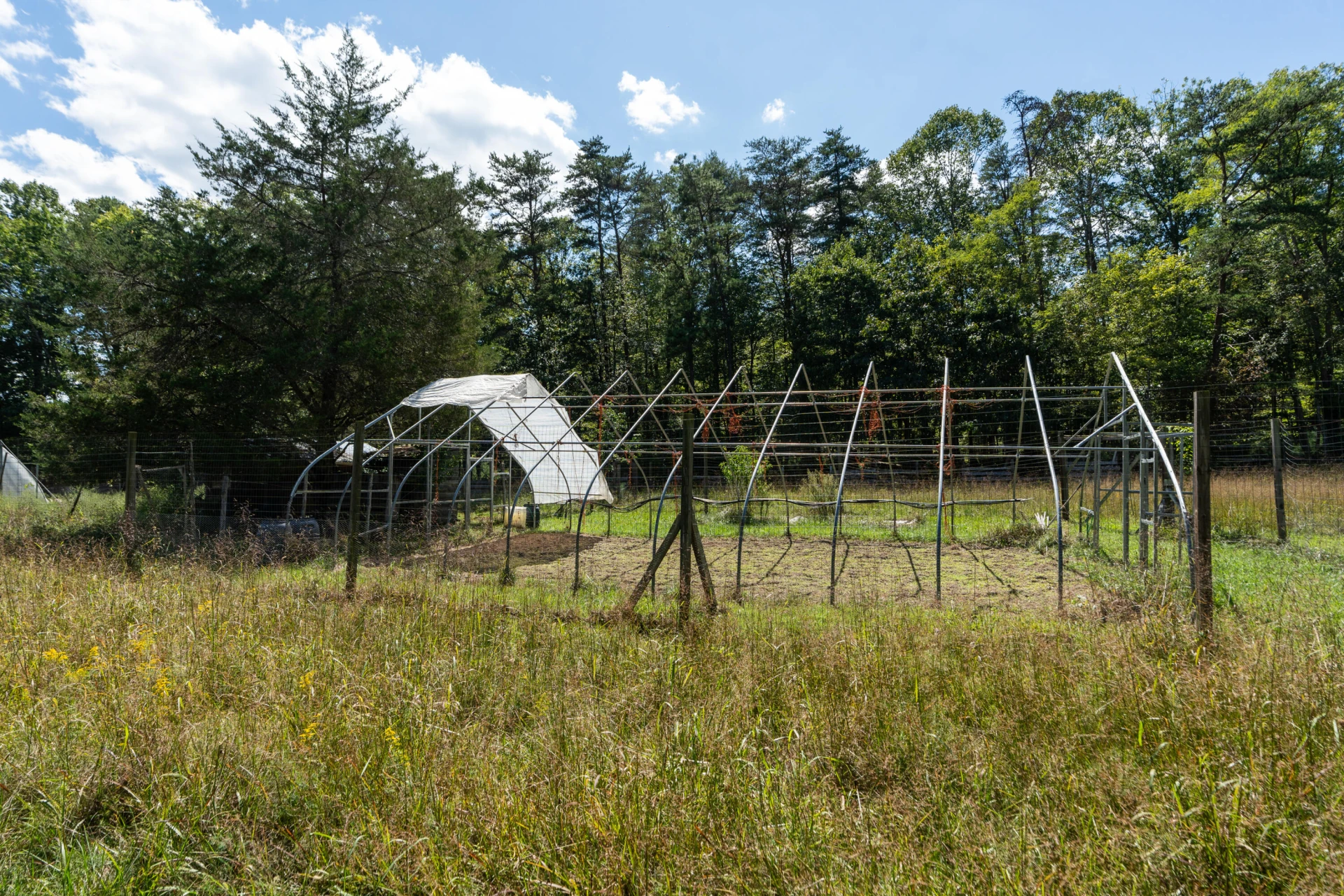 553 Big River Rd - Photo 44