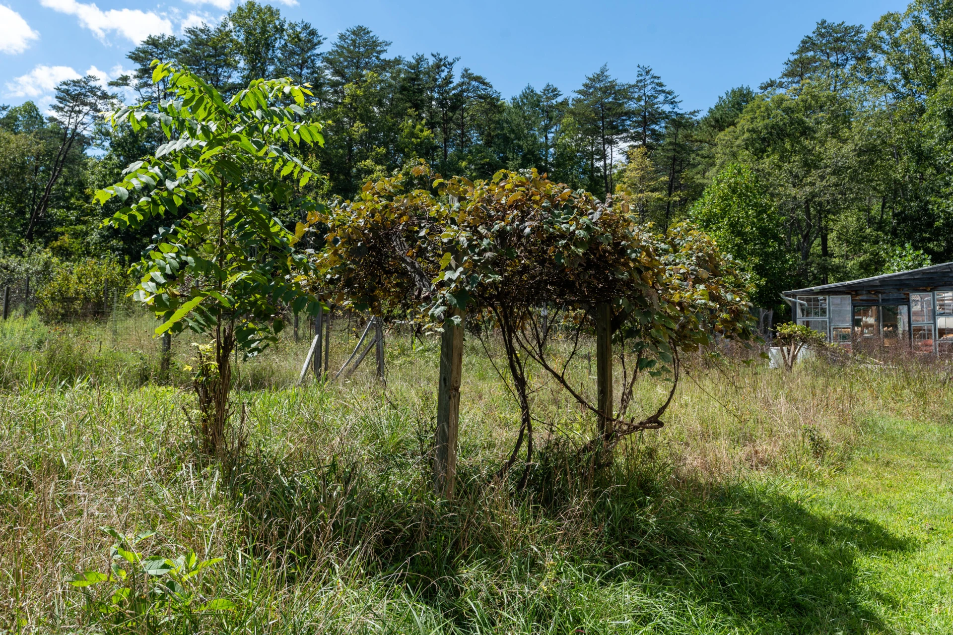 553 Big River Rd - Photo 50
