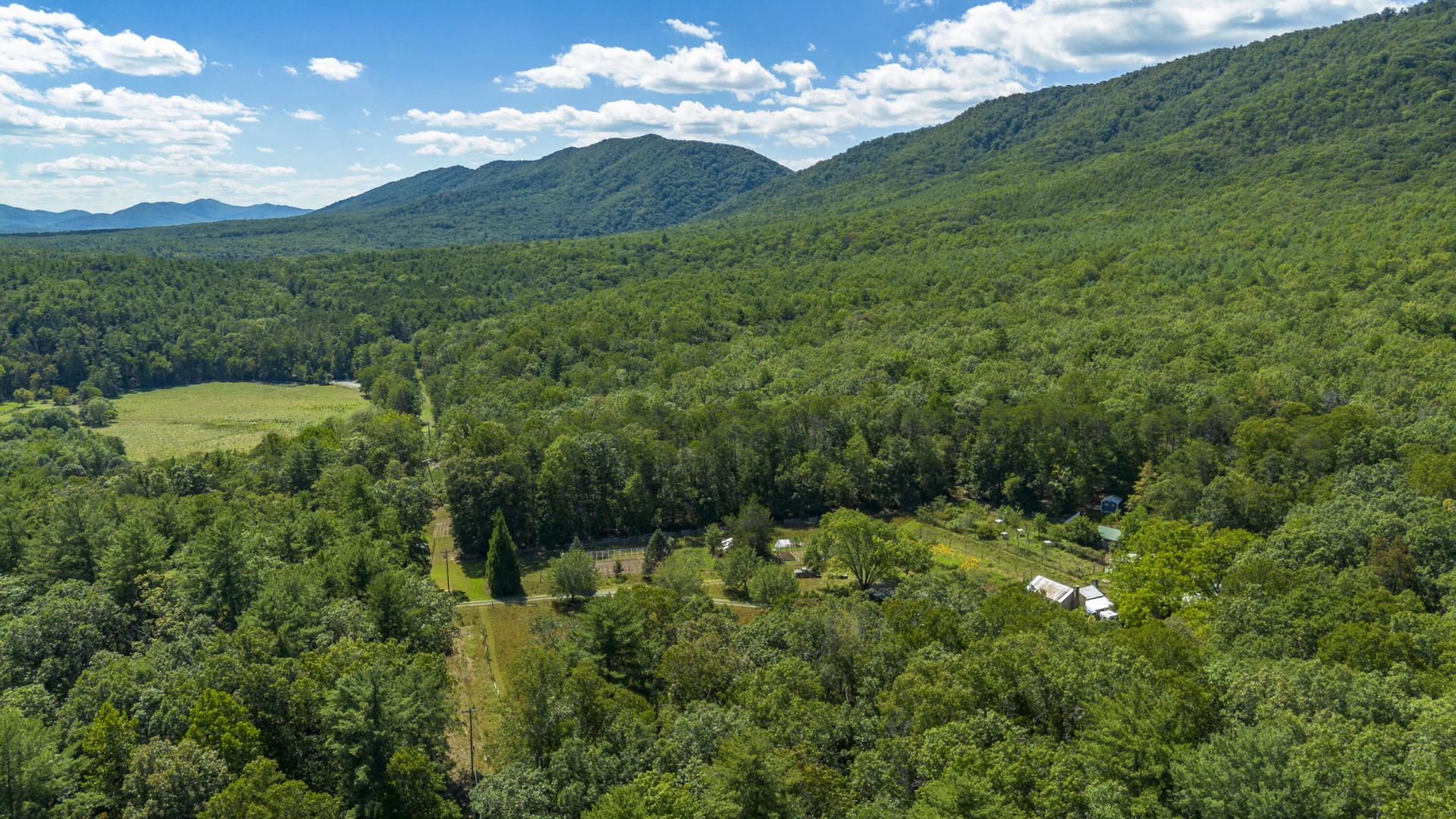 553 Big River Rd - Photo 9