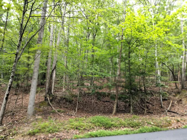 TBD Mt Atlas Rd, Lexington, VA, 24450