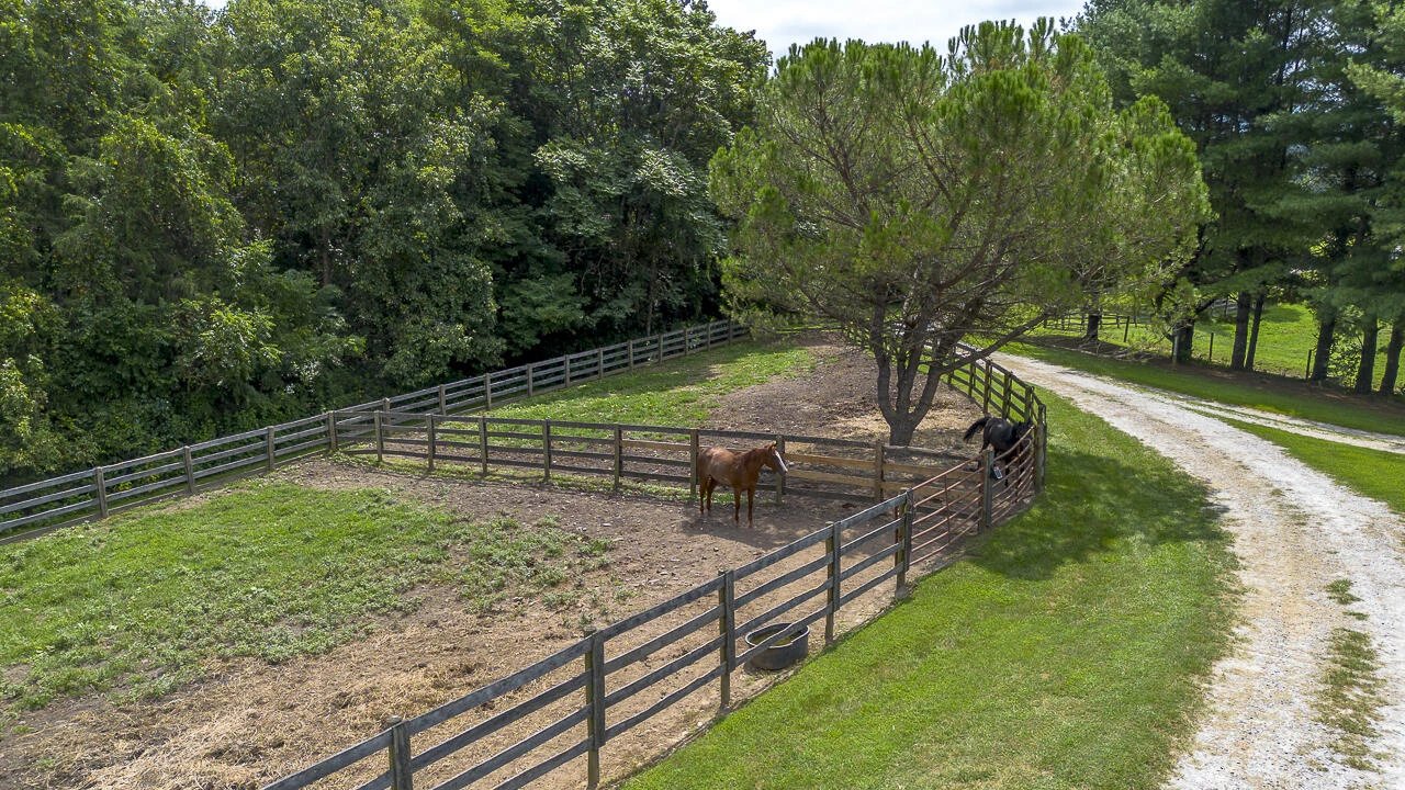 9195 Springwood Rd - Photo 26