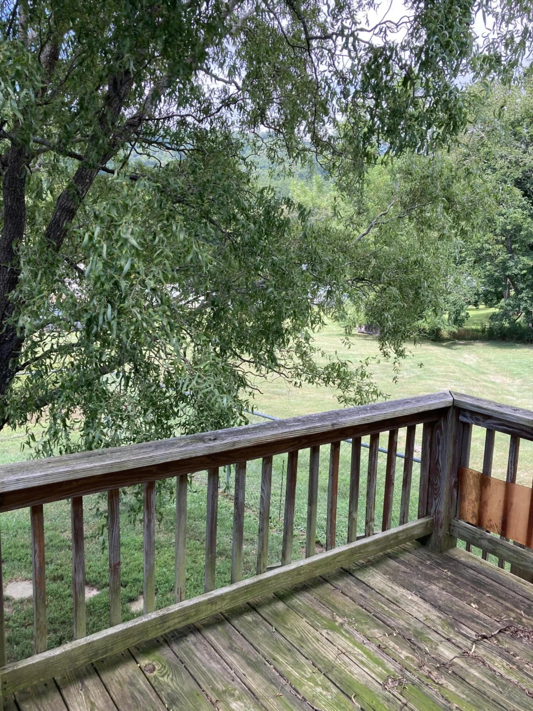 201 Forestry Rd - Photo 6