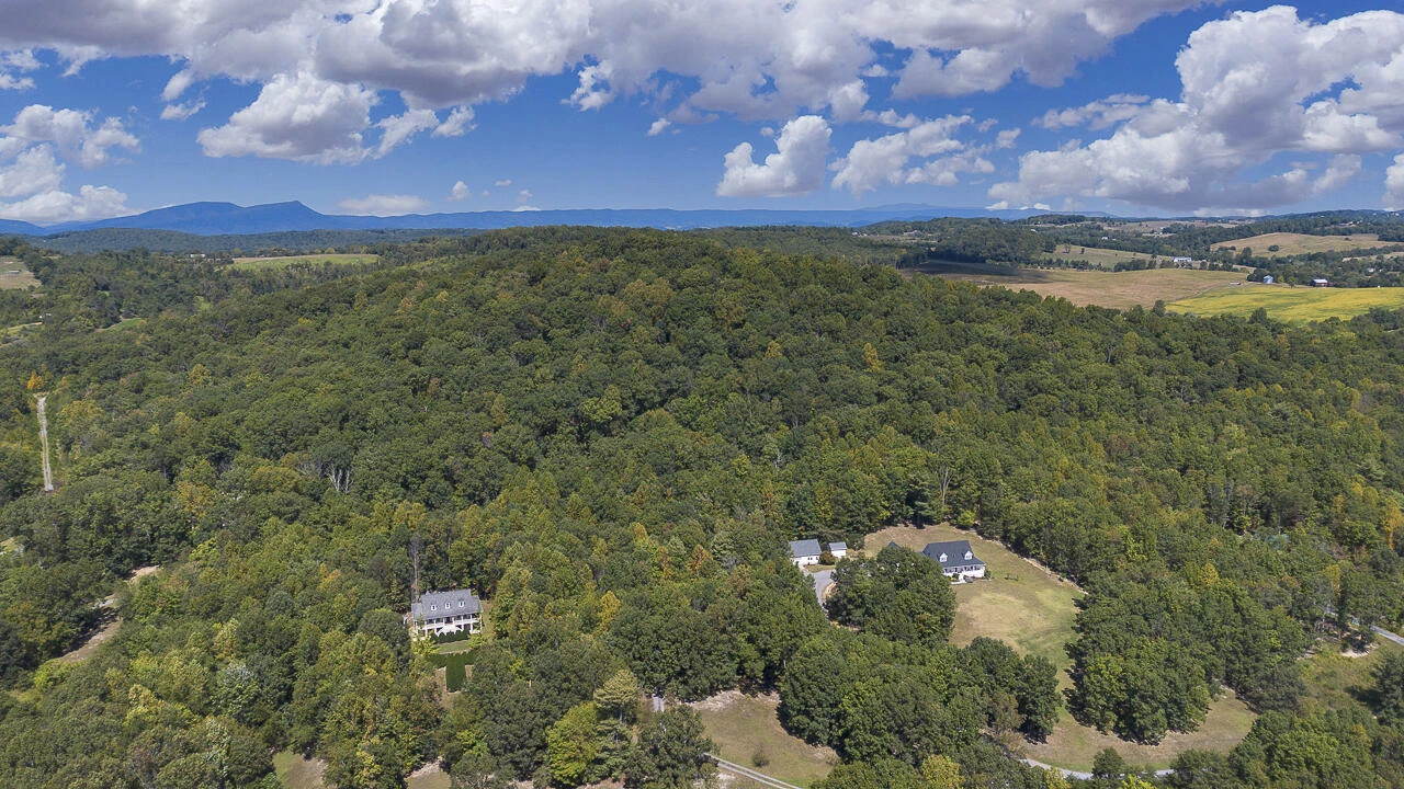 12 Acres Celebration Ln - Photo 10