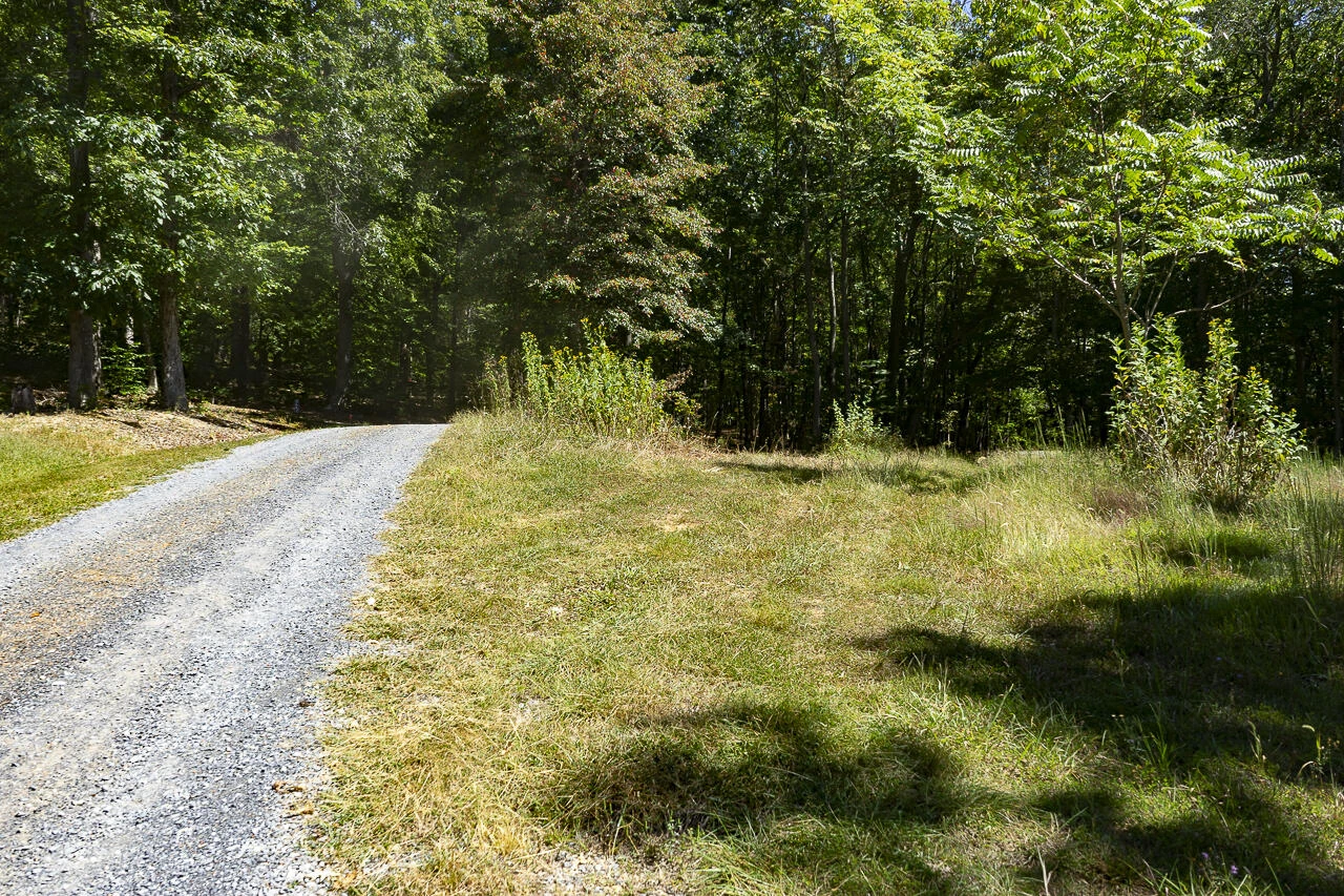 12 Acres Celebration Ln - Photo 2