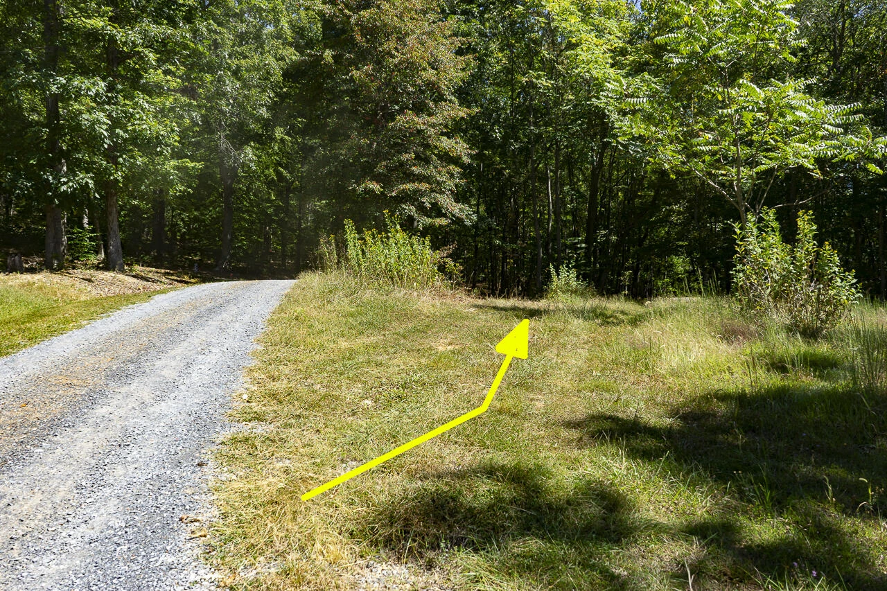 12 Acres Celebration Ln - Photo 3