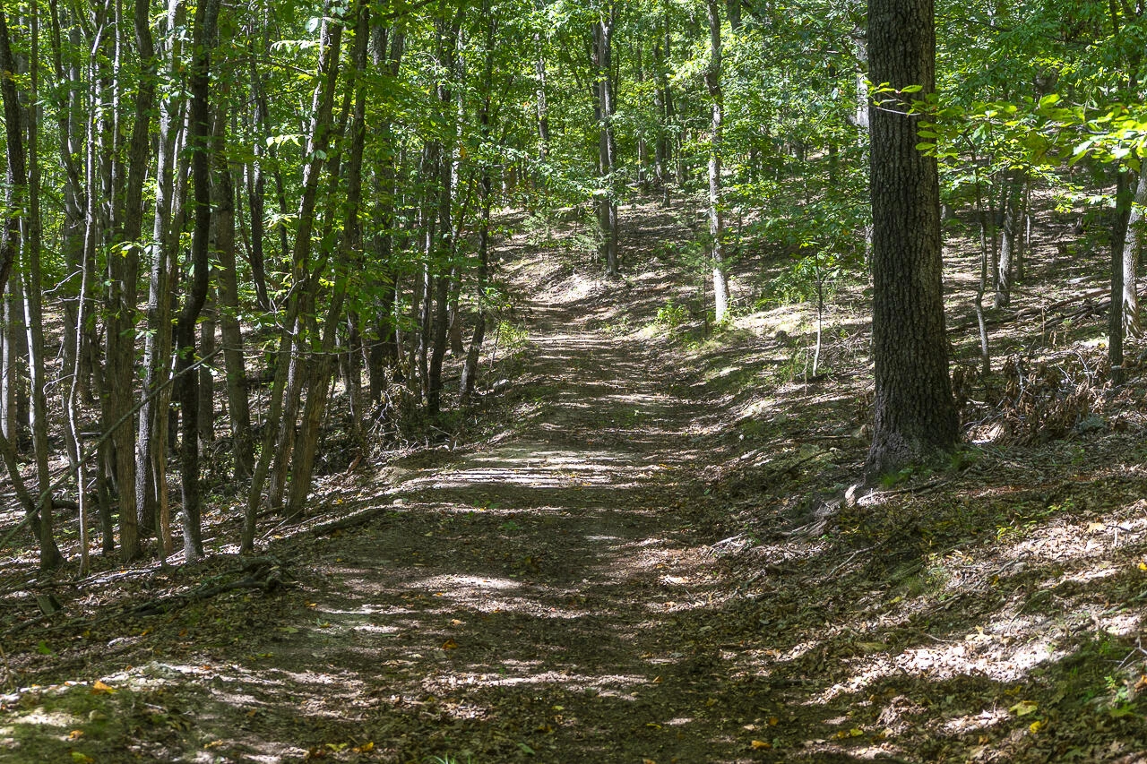 12 Acres Celebration Ln - Photo 4