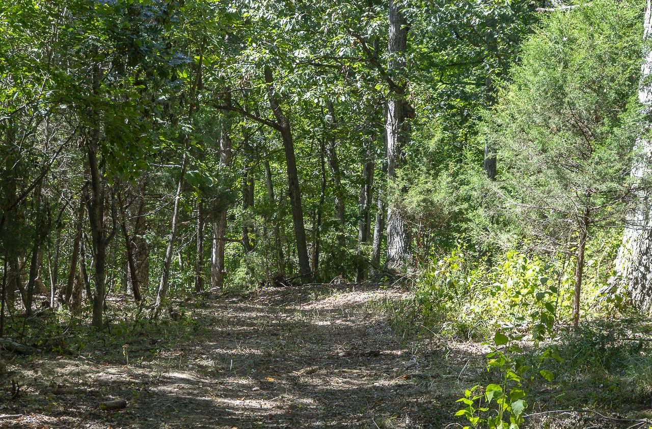 12 Acres Celebration Ln - Photo 5