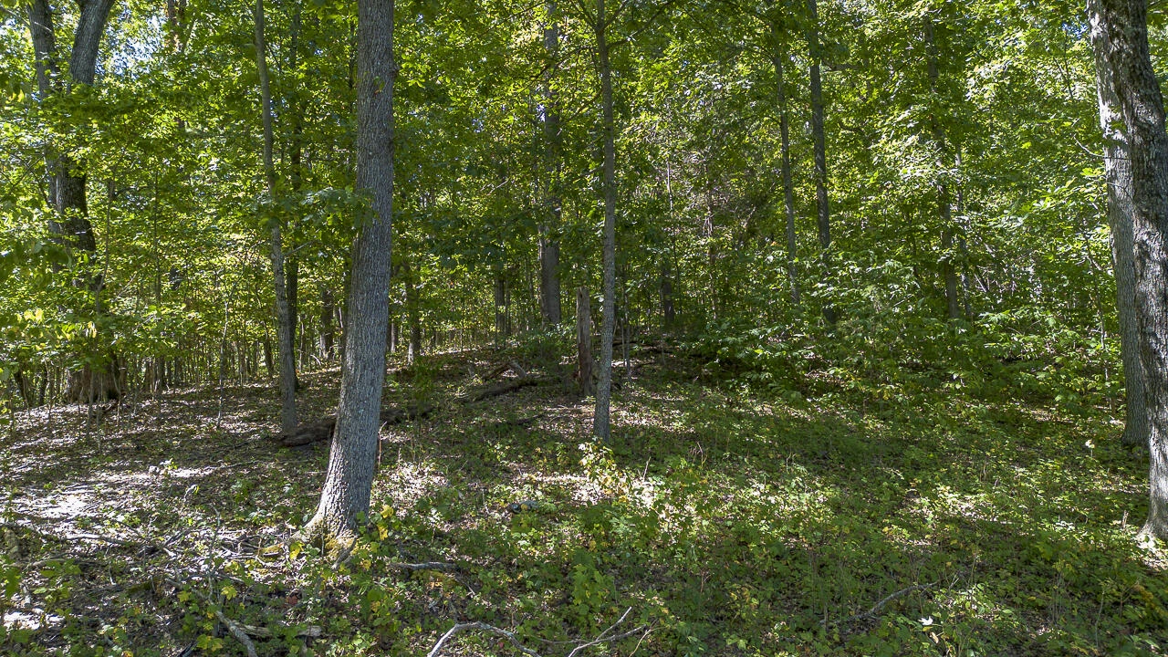 12 Acres Celebration Ln - Photo 9