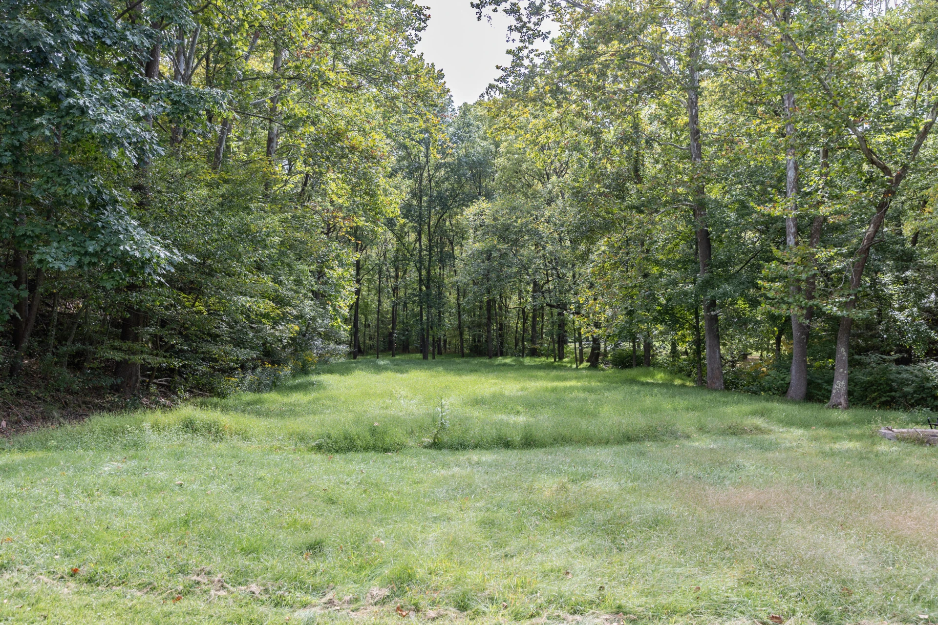 2380 Big Hill Rd - Photo 29