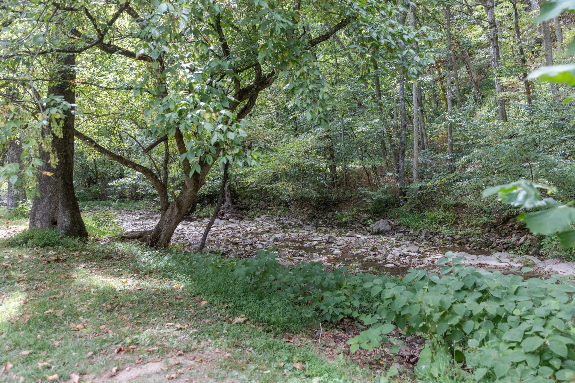 2380 Big Hill Rd - Photo 32