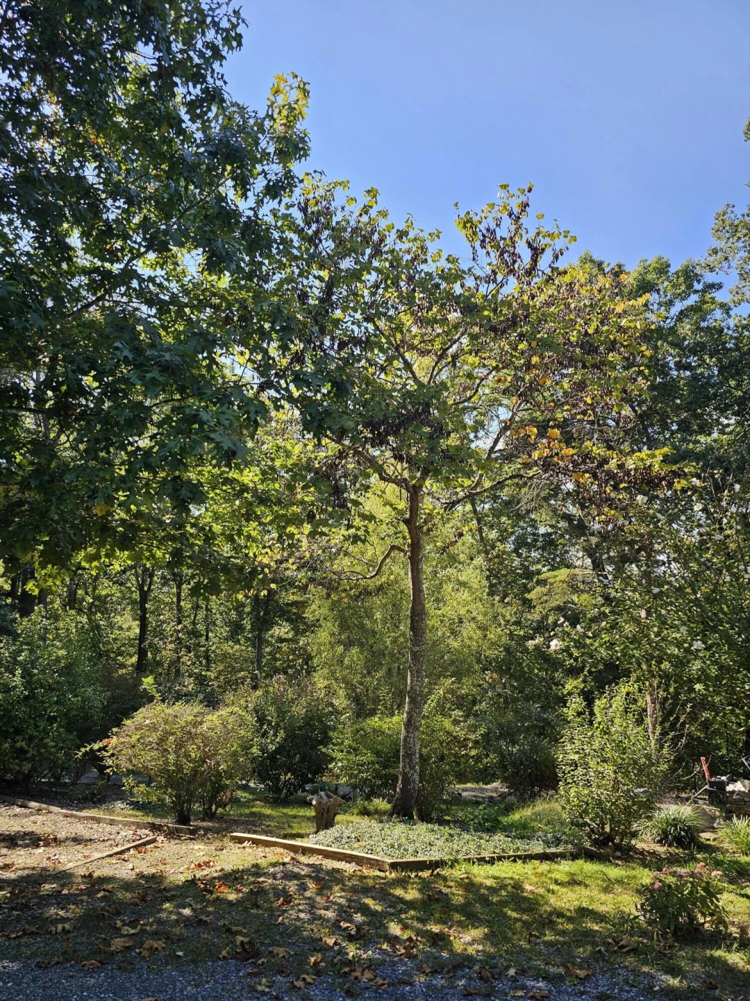 135 Gravel Ln - Photo 4