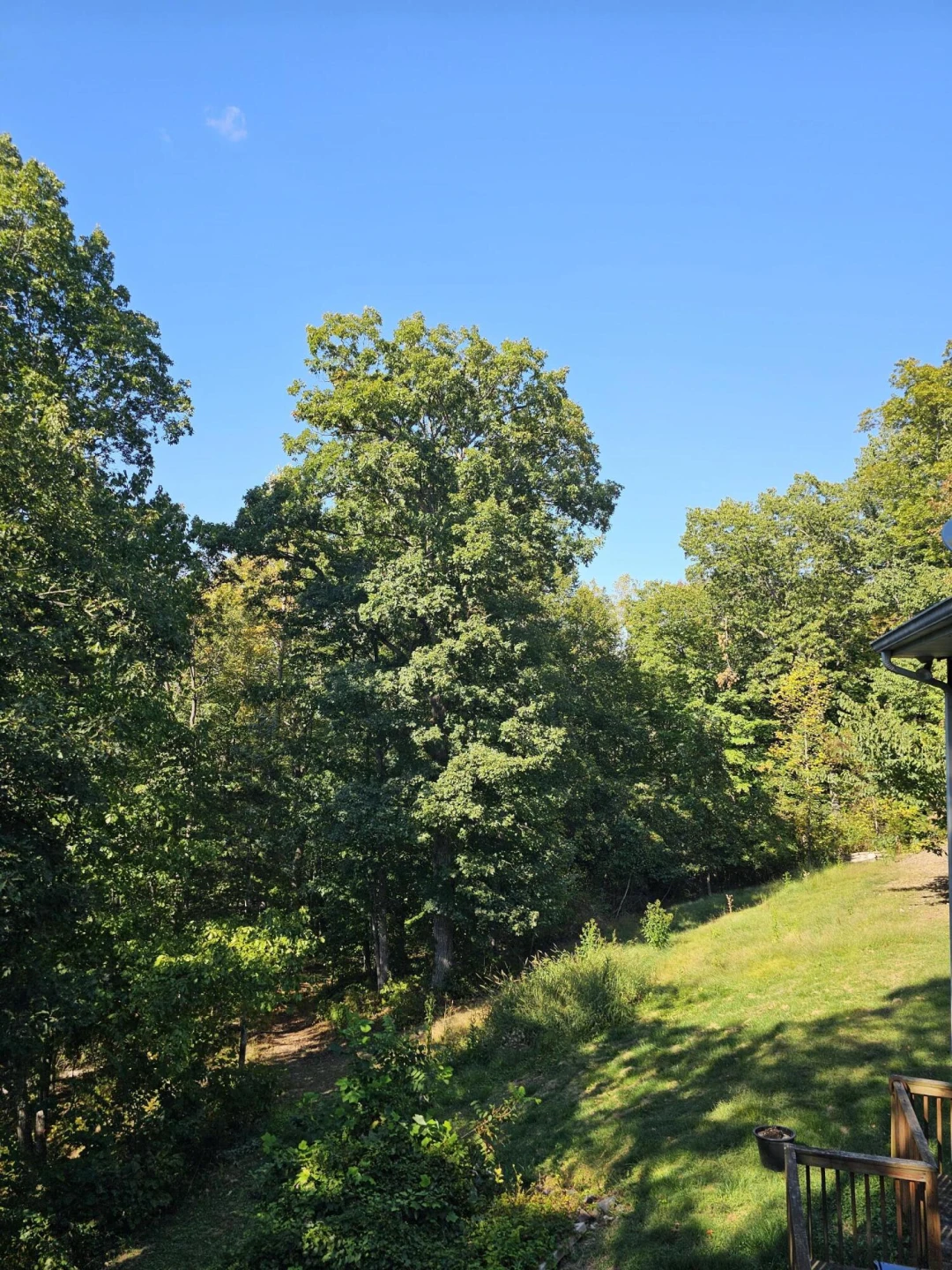 135 Gravel Ln - Photo 43