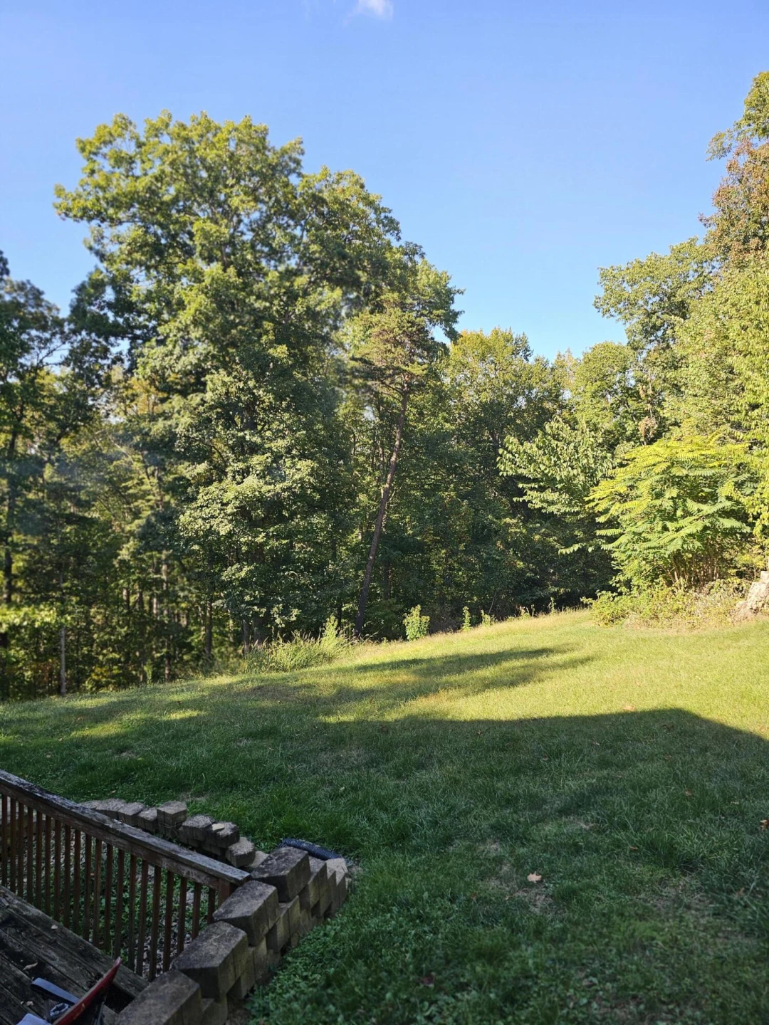 135 Gravel Ln - Photo 9