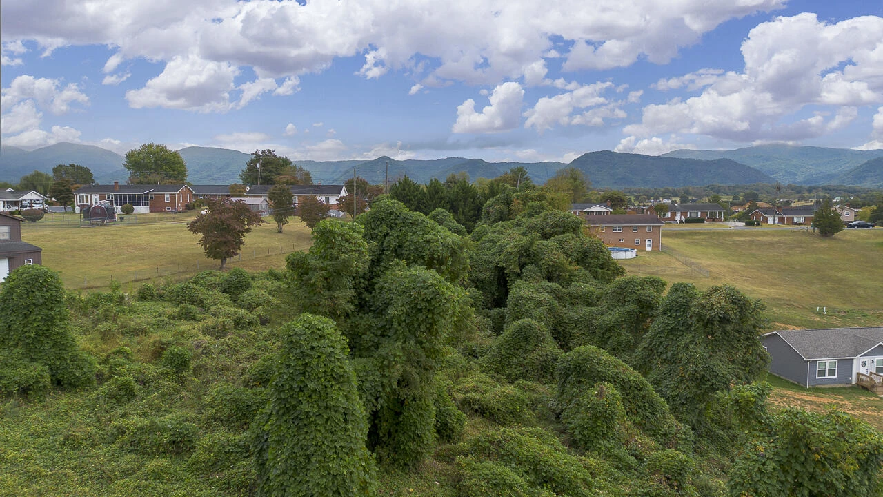 .785 acres Cresthill Drive - Photo 6