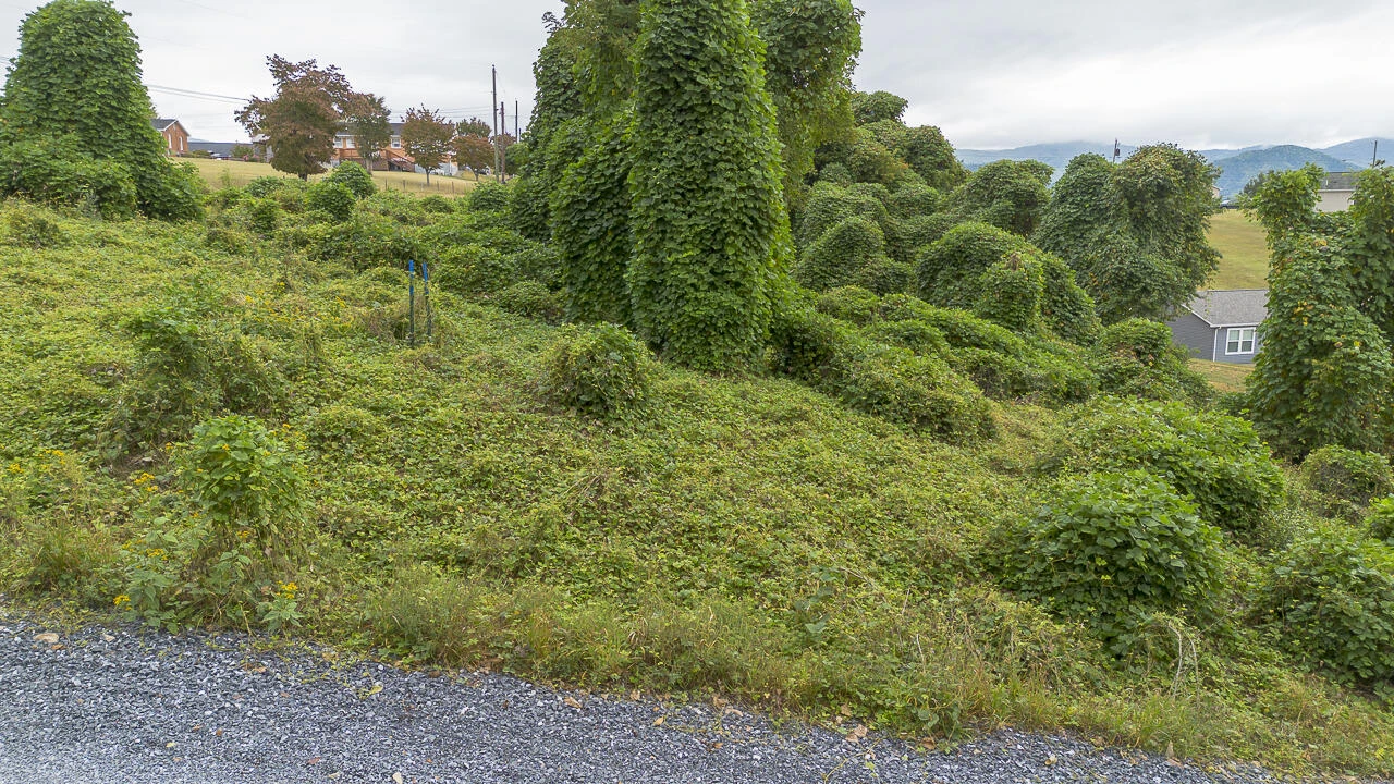 .785 acres Cresthill Drive - Photo 7