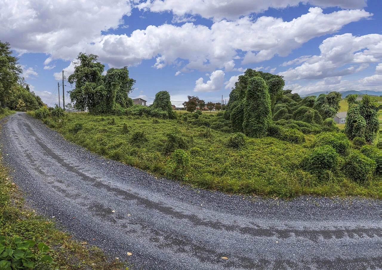 .785 acres Cresthill Drive - Photo 8