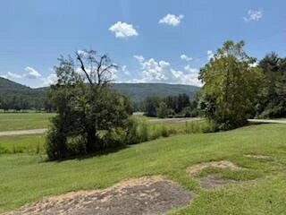 9598 Maury River Rd - Photo 33