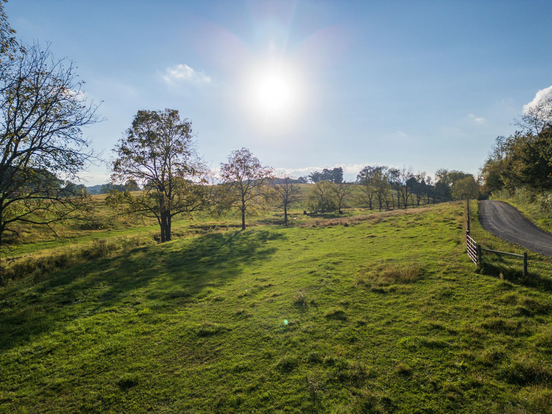 47 acres N Lee Highway - Photo 10