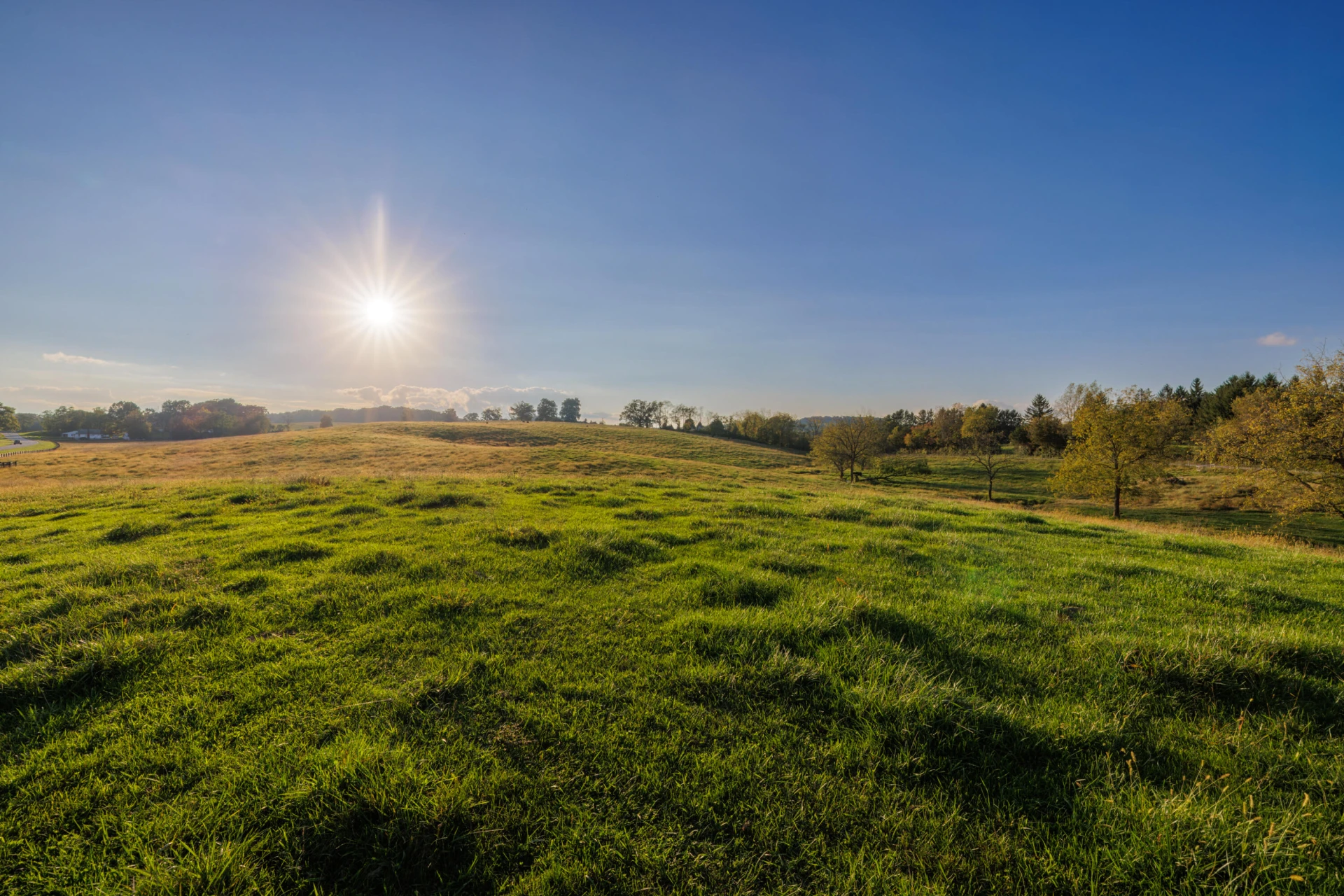47 acres N Lee Highway - Photo 11