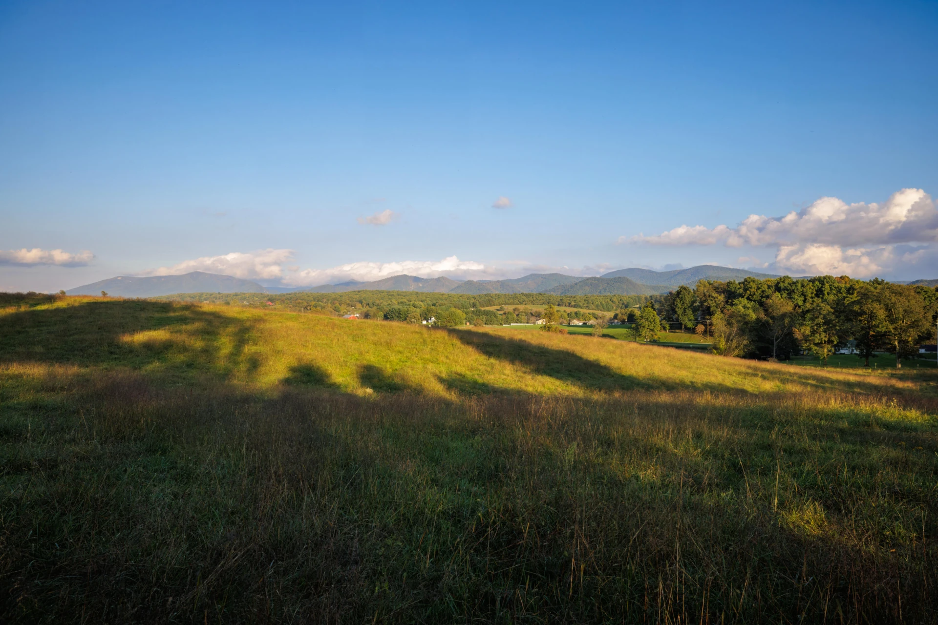 47 acres N Lee Highway - Photo 15