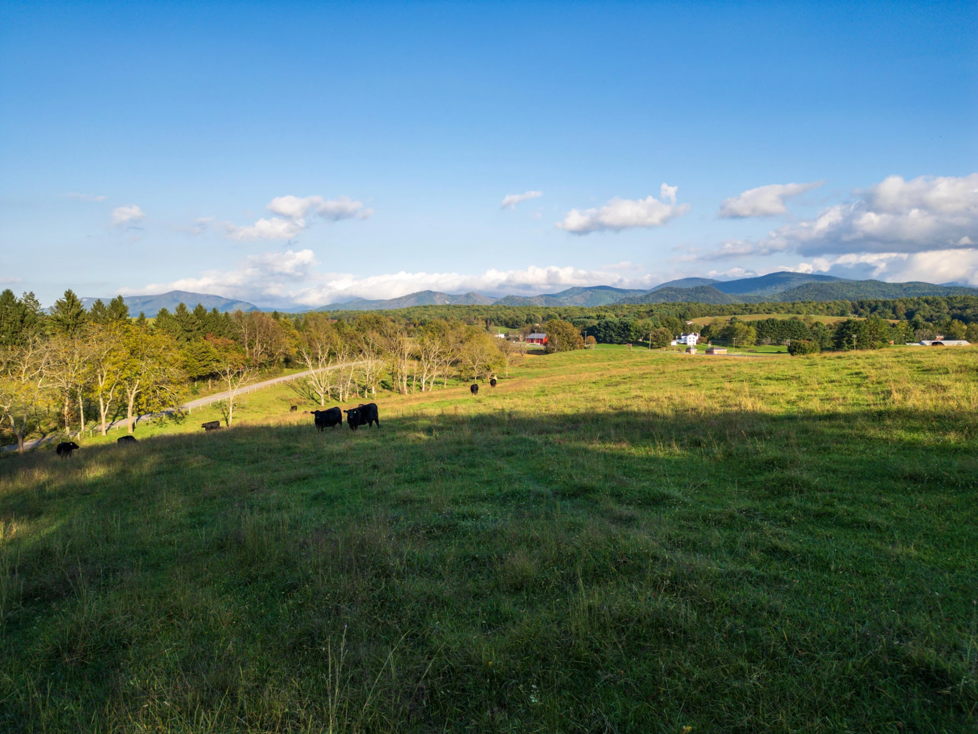47 acres N Lee Highway - Photo 18
