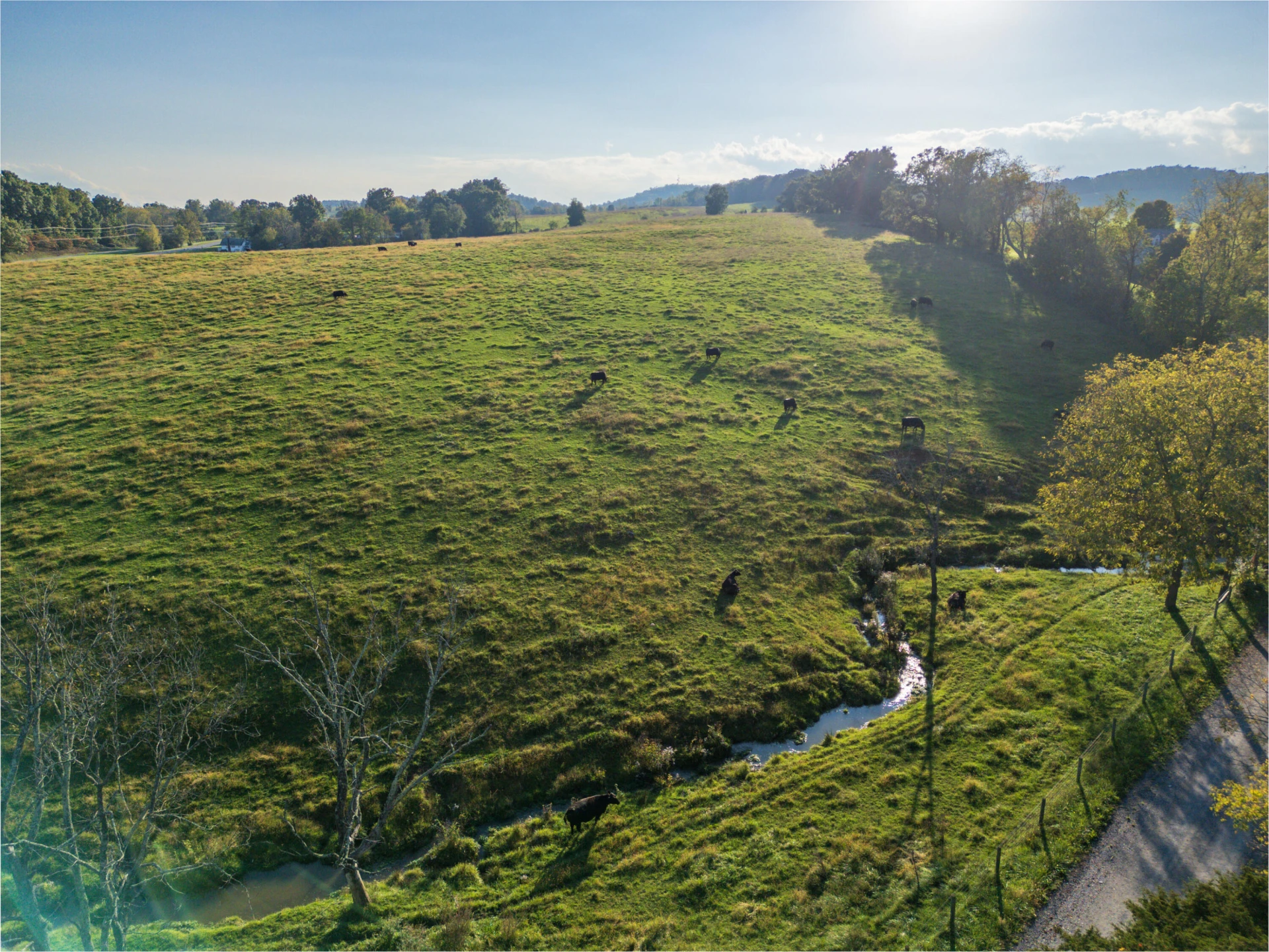 47 acres N Lee Highway - Photo 4