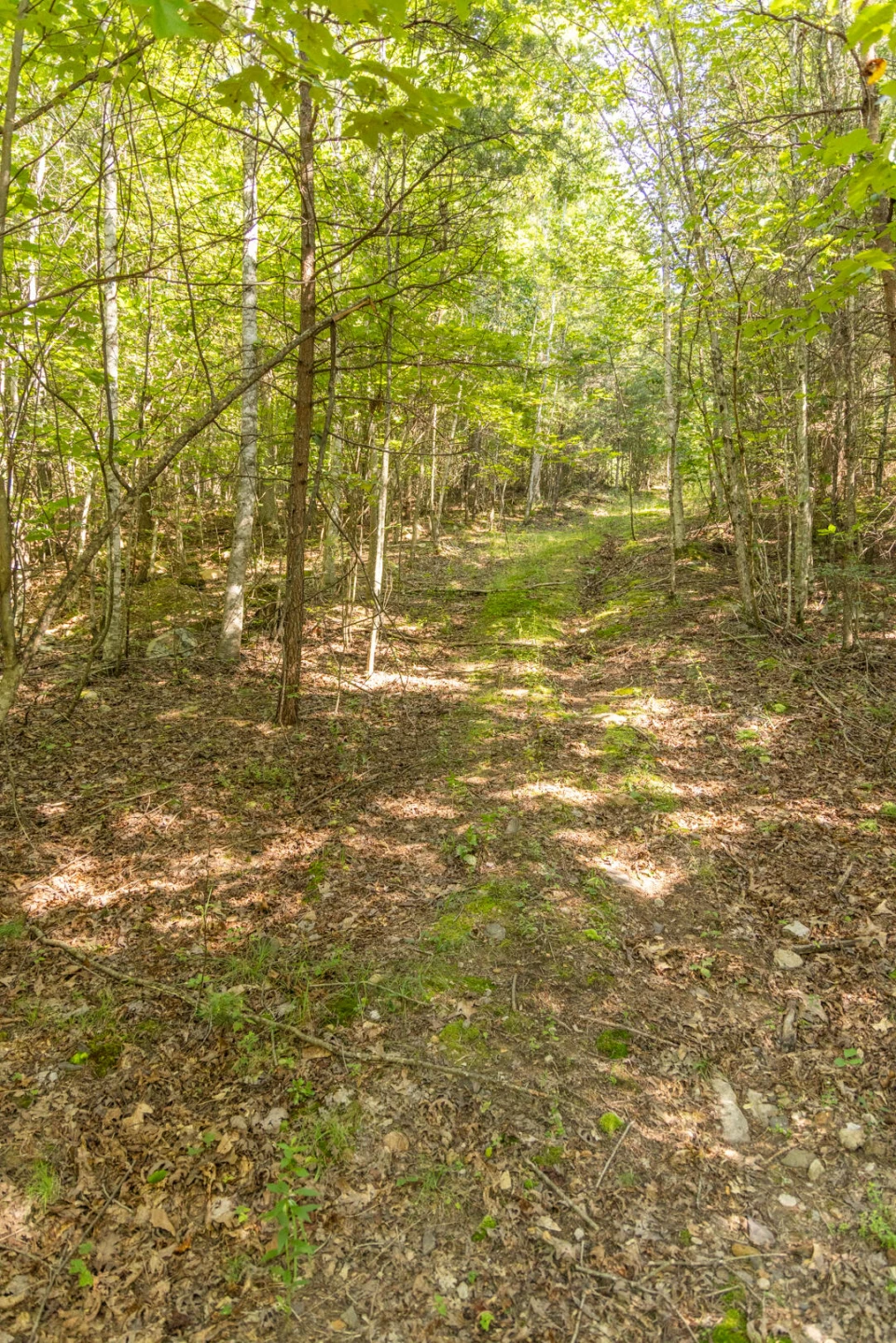 0 Dunbrack Rd - Photo 10