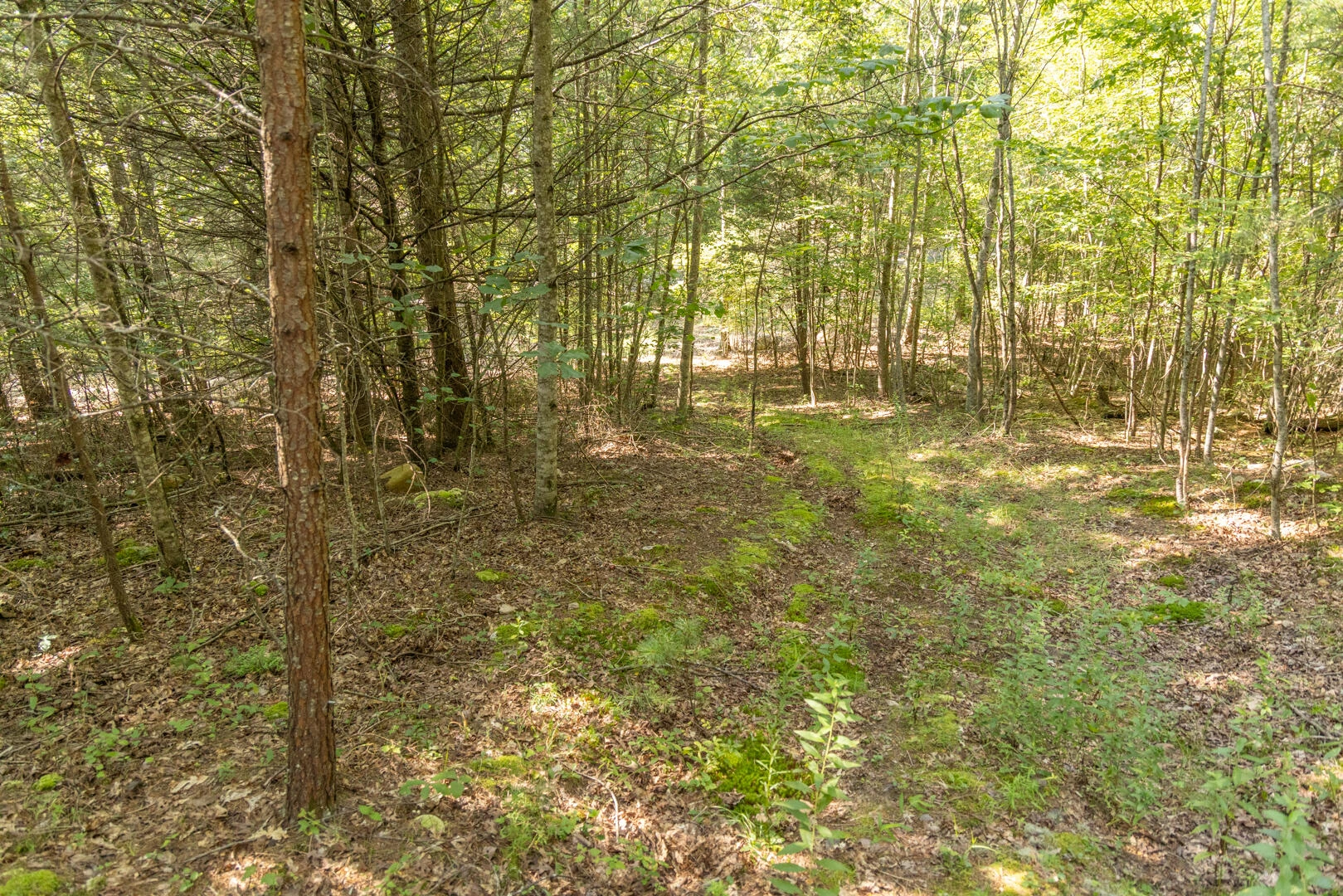0 Dunbrack Rd - Photo 11