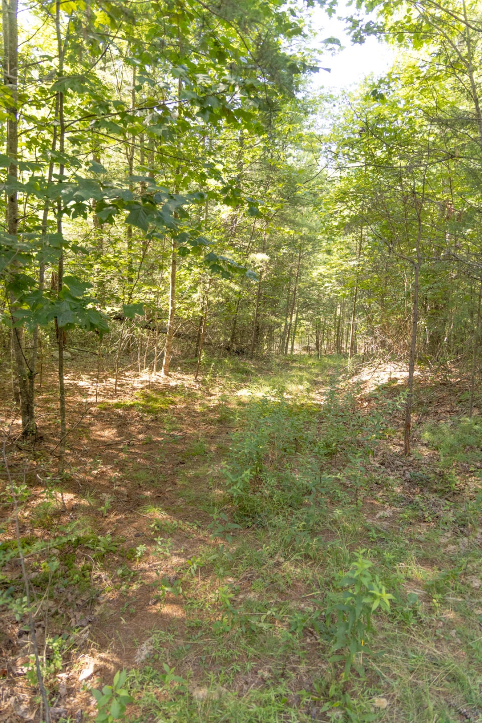 0 Dunbrack Rd - Photo 12