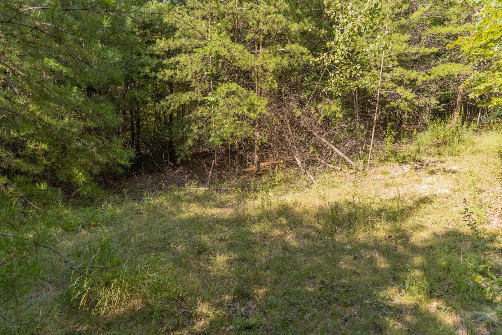 0 Dunbrack Rd - Photo 13
